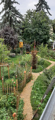 Blick in den Naturgarten des Immanuel Seniorenzentrums Kläre Weist mit Pflanzen, Sträuchern, Bäumen und einem Vogelhäuschen