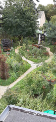 Blick in den blühenden Naturgarten des Immanuel Seniorenzentrums Kläre Weist mit einem Fußweg und Sitzmöbeln